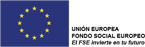Fondo Social Europeo